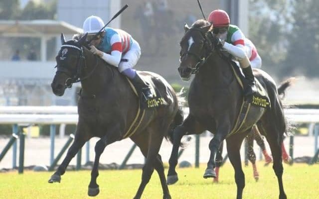 【本日の注目ポイント】3日間開催最終日、重賞は東京スポーツ杯2歳S