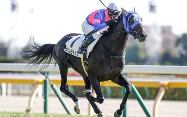 【東京5R新馬戦結果】タケルジャックが好位から抜け出しV