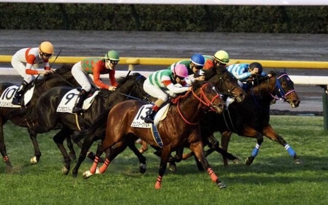 【東京12R】ヴェスターヴァルトが3勝目！母はサンブルエミューズ