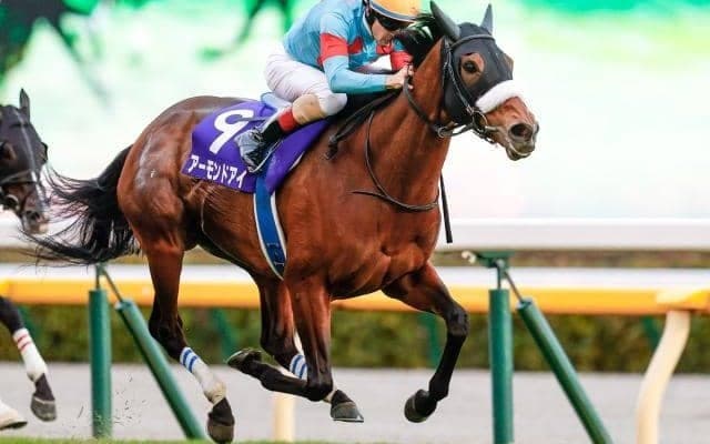 【ジャパンC見どころ】三冠馬3頭が激突！空前絶後の一戦を制するのはどの馬か