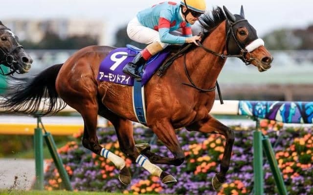 史上初の三冠馬3頭が激突！ GIジャパンCに注目/今週の競馬界の見どころ