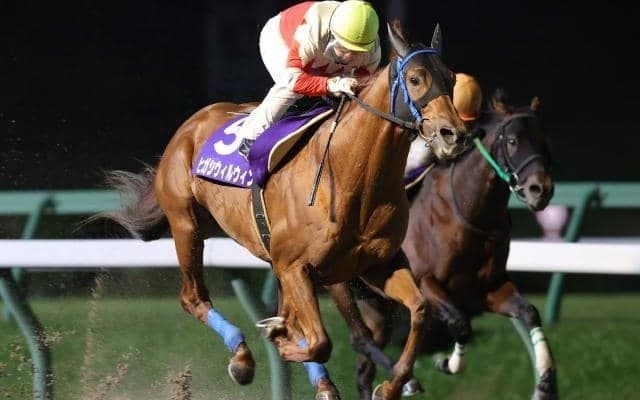 【盛岡・絆C結果】ヒガシウィルウィンが断然人気に応えて快勝