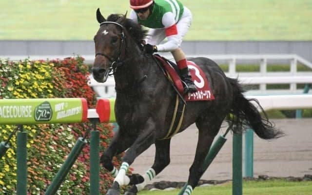 【ジャパンカップ】サートゥルナーリアが回避、経過次第で有馬記念を視野に