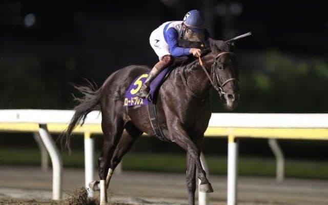 【浦和記念見どころ】実績馬が集い好メンバーとなった中距離戦