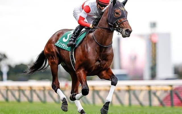【次走】ダノンザキッドはホープフルSを視野に　無傷2連勝で東スポ杯2歳Sを制覇