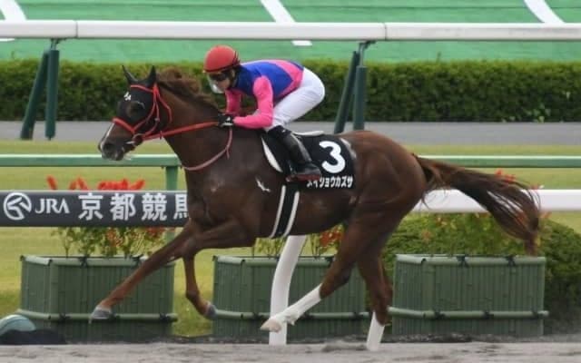 【カノープスSハンデ確定】メイショウカズサは54kg、ダノンスプレンダーは55kg