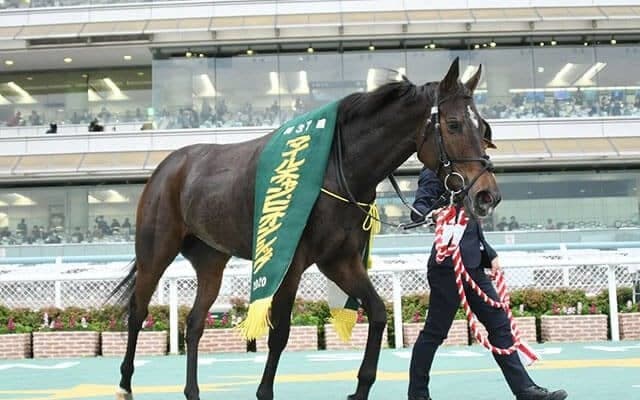 【マイルCS回顧】グランアレグリア　タピッツフライが遺した唯一の牝馬/栗山求コラム