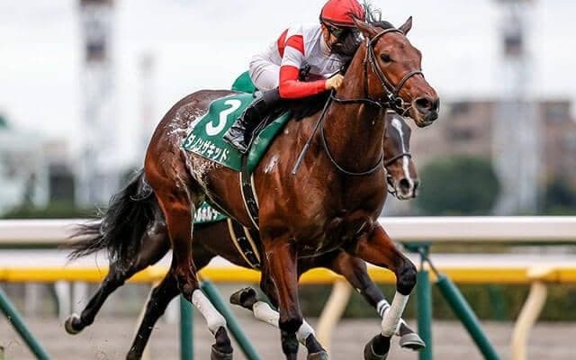 【東京スポーツ杯2歳S回顧】ダノンザキッド　更なる成長に期待/栗山求コラム