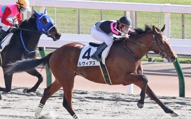 【新馬/東京6R】ヴァンセンヌ産駒 ルヴィアスがデビューV
