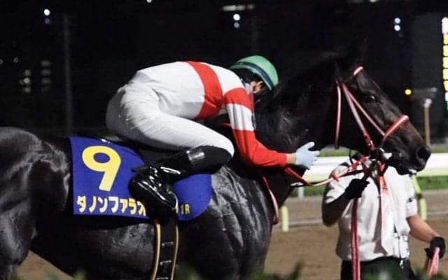 【浦和記念】枠順と見どころ ダノンファラオは6枠6番