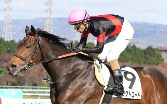 【阪神7R】和田竜「長く脚を使ってくれた」ストリクトコードがV