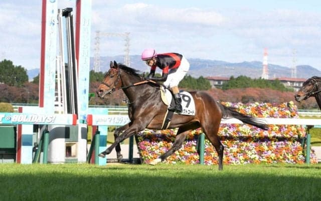 【阪神7R】ディープ産駒 ストリクトコードが2馬身差完勝！