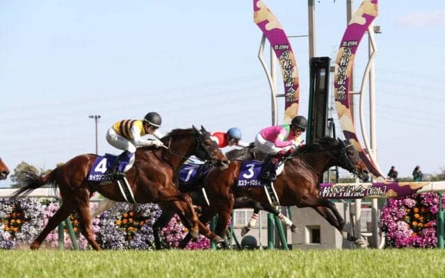 ミスターメロディが競走馬登録抹消