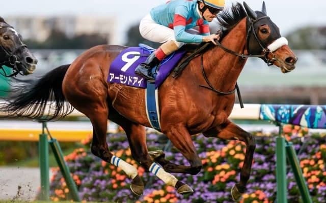 【ジャパンC前日オッズ】アーモンドアイが2.2倍で1番人気、オッズはまさに“3強”