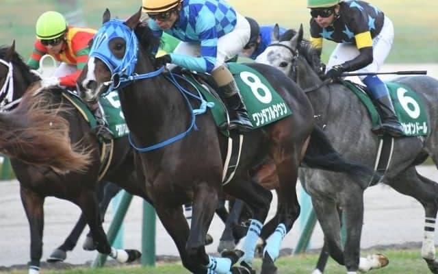 【京都2歳S結果】ワンダフルタウンが差し切り重賞初制覇