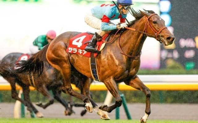 【次走】エリザベス女王杯2着のサラキアは有馬記念を目標に