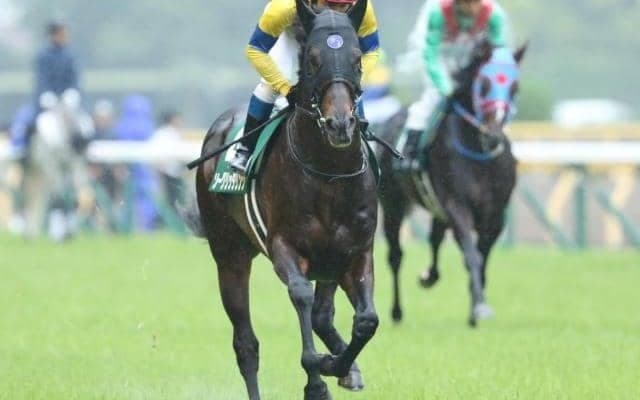 【本日の注目ポイント】阪神でGIII・京都2歳S、東京ではリステッド・キャピタルSなど