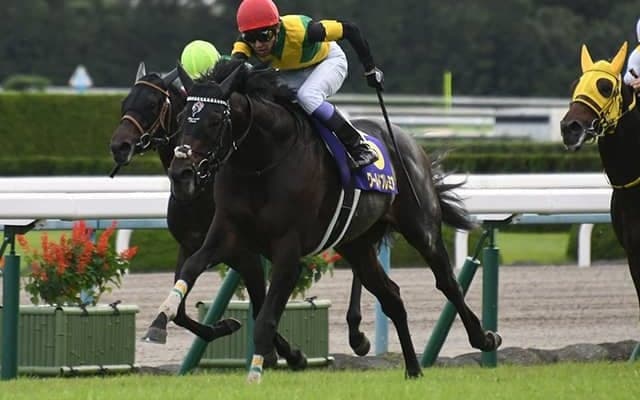 【ジャパンC予想】 3冠馬3頭の華麗なる競演！ 世紀の一戦を消去法はどうジャッジするのか!?/JRAレース展望