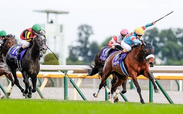 【ジャパンC予想】 真の敵は“上がりの速さ”!? 無敗の3冠馬2頭に立ちはだかる不吉なデータとは？/JRAレース展望