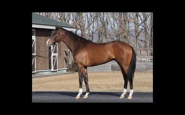 叶わなかった兄たちの夢。その実現を託された良血マンインザミラー