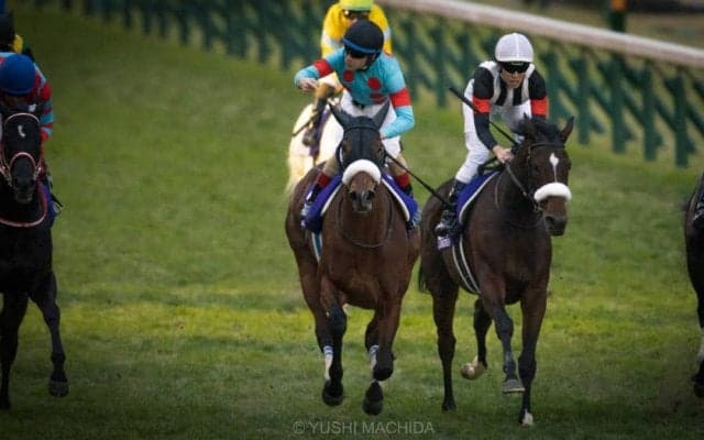 【ジャパンC】日本中央競馬会 後藤正幸理事長コメント