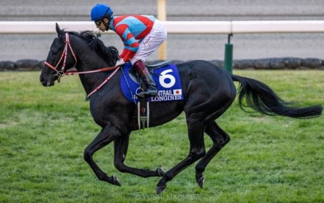 【ジャパンC】福永「アーモンドアイは強かった」レース後ジョッキーコメント