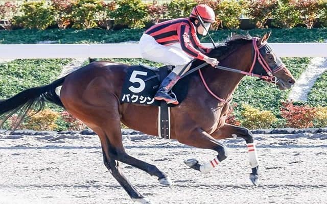 【全日本2歳優駿】デュアリスト、バクシン、ラストリージョなどJRA出走予定馬が発表