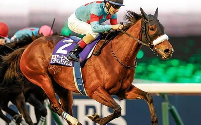 【ジャパンC回顧】アーモンドアイ　次世代の名牝系確立に期待/栗山求コラム