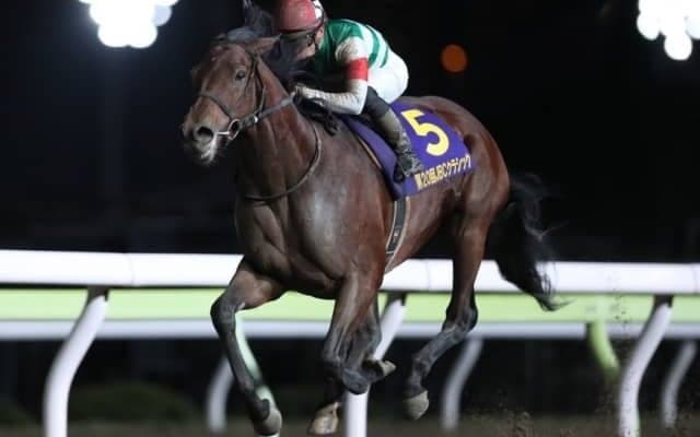 【チャンピオンズC出走馬決定順】フルゲート16頭に国内無敗のクリソベリルなど18頭の登録