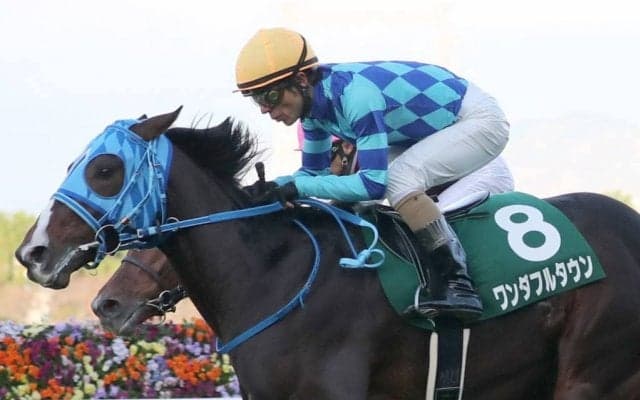 【京都2歳S】和田竜「馬自体も充実」ワンダフルタウンが重賞初V