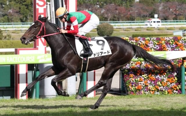 【新馬/阪神6R】ドリアードが人気に応える