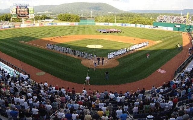 ドラフト有望株のための新リーグを創設　MLB球団へのアピールの場に