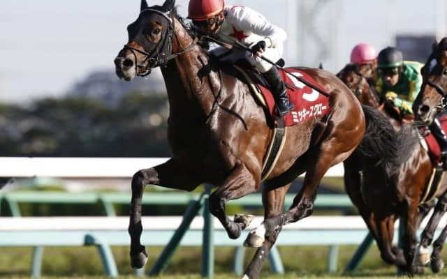 【次走】ミッキースワローは有馬記念を視野