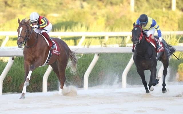 【兵庫ジュニアGP全着順】福永祐一デュアリストが逃げ切りV！ 2着レディバグ、3着ゼンノアンジュ