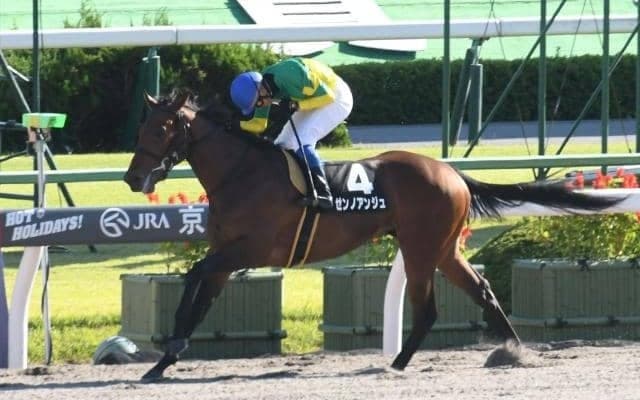 【兵庫JG】福永祐一騎手とコンビのミッキーアイル産駒デュアリストらが人気の中心