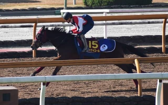 メイケイエール、阪神JF1週前追い切り速報/栗東トレセンニュース