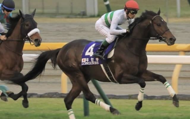 【次走】キセキは有馬記念を視野　第1回中間発表では6位