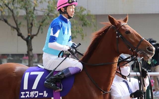 【先週のJRA抹消馬】ターコイズS2着馬エスポワール、2着15回キャスパリーグ、良血馬プリュスなど