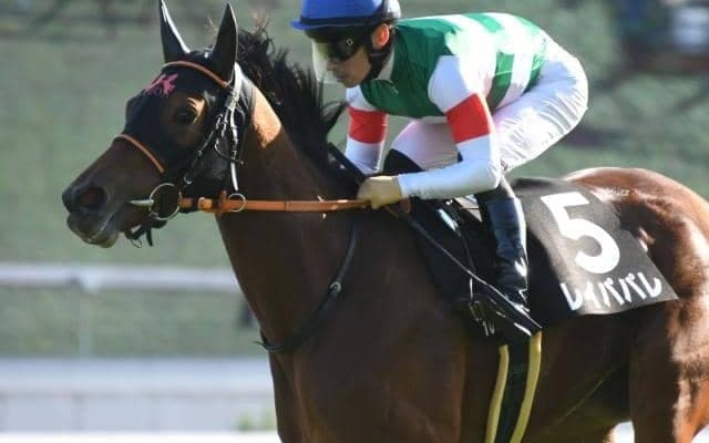 【チャレンジC展望】若くて勢いのある馬が活躍するレース