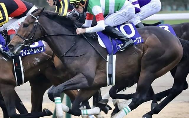 【JRA】サートゥルナーリアは有馬記念も出走見送り