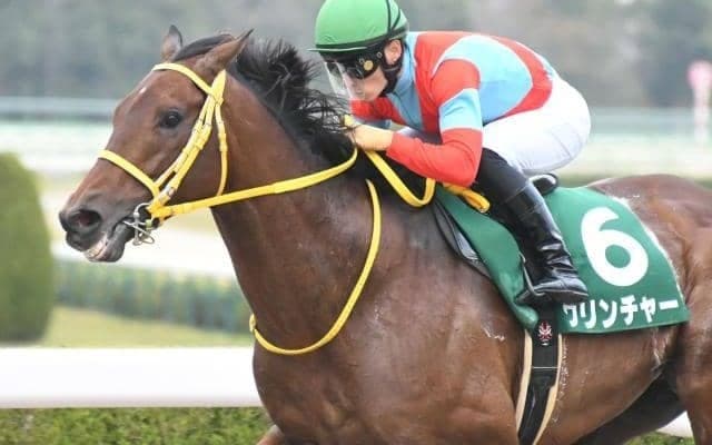 【チャンピオンズC展望】ダートの頂上決戦、好走の条件とは