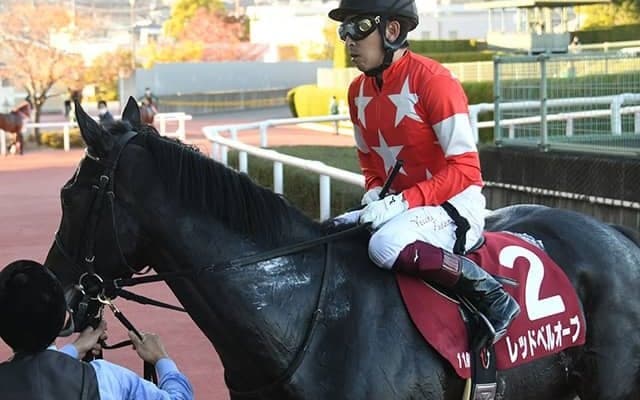 【次走】レッドベルオーブは引き続き福永祐一騎手とのコンビで朝日杯FSへ