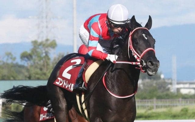 有馬記念ファン投票 第2回中間発表！順位に変動は？