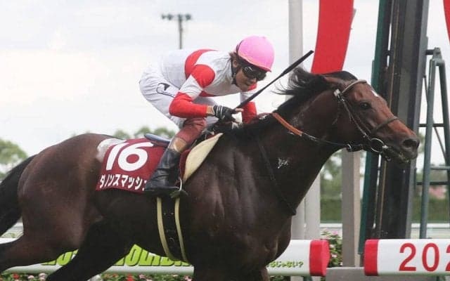 2020香港国際競走に出走予定の日本馬3頭が香港に到着（12月3日）