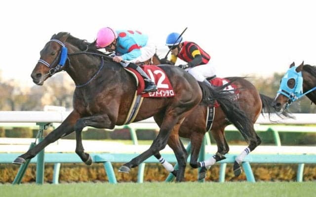 モンドインテロが競走馬登録抹消