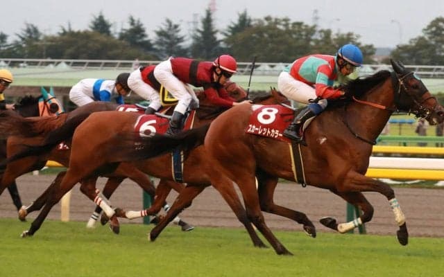 スカーレットカラーが競走馬登録抹消