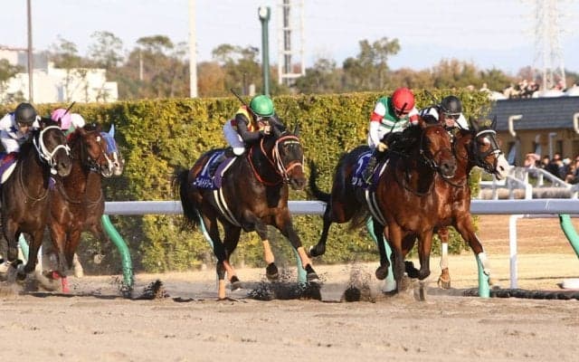 【チャンピオンズC】出走馬の調教後の馬体重
