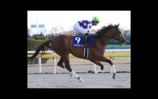 チャンピオンズＣ、穴党記者がクリソベリルの刺客に指名した３頭とは