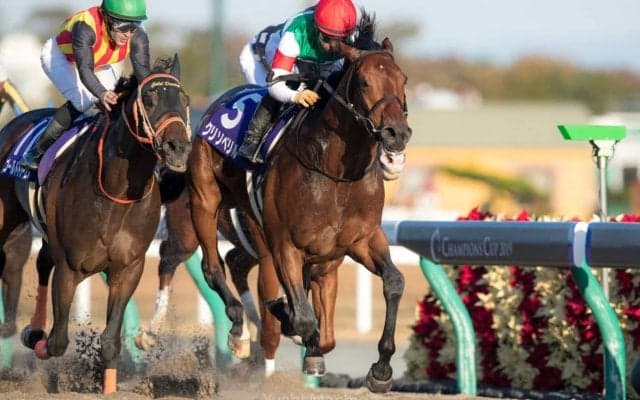 【チャンピオンズC】枠順と見どころ クリソベリル8枠15番