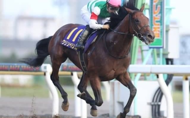 【チャンピオンズC予想】クリソベリルの国内無敗継続に期待